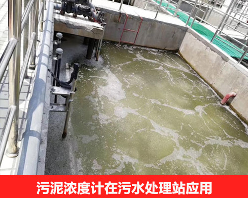 污泥濃度計在A2O市政污水處理應用