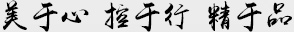 美于心，控于行，精于品